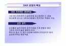 DNR 고도처리기술 8페이지