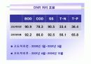 DNR 고도처리기술 11페이지