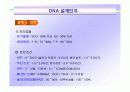 DNR 고도처리기술 13페이지
