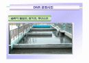 DNR 고도처리기술 14페이지