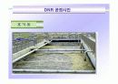DNR 고도처리기술 15페이지