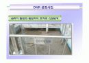 DNR 고도처리기술 16페이지