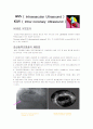 IVUS ( Intravascular Ultrasound ) 1페이지