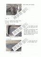 왜관 칠곡 일대 신동층군 지질 조사 9페이지