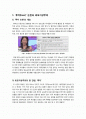 [루저]루저 파문의 개요, 루저(loser) 논란을 통해 본 외모지상주의 사회의 문제점과 해결과제 - 루저녀 논란 무엇이 문제인가? 2페이지