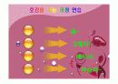이미지메이킹 및 기본매너 20페이지