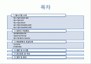 국내 중소기업의 정보화혁신을 위한정부의 다양한 지원제도 및 사례 2페이지