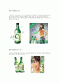 한국의 소주 7페이지