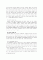 현행정부형태의  문제점 6페이지
