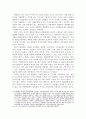 현행정부형태의  문제점 11페이지
