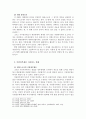 현행정부형태의  문제점 17페이지