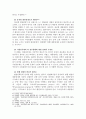 현행정부형태의  문제점 18페이지