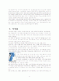 무역학의 관점에서 본 거란과 고려의 전쟁- 서희를 중심으로 7페이지
