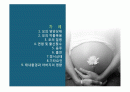 태내환경과 요인 2페이지