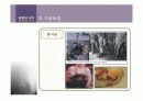태내환경과 요인 23페이지