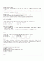 2009년 1학기 청소년문화 출석대체시험 핵심체크 4페이지