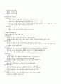 2009년 1학기 대중문화와 영화비평 기말시험 핵심체크 5페이지
