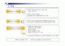 사회복지의 역사와 발달과정 26페이지