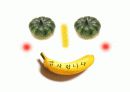 사회복지의 역사와 발달과정 27페이지