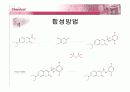 유기물 및 고분자설계 – Single Molecule 15페이지