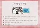 일상생활에서 이용되는 곰팡이 사례 8페이지