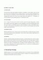 Converse Brand 마케팅전략 분석(영문) 7페이지