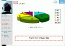 레인콤마케팅전략 10페이지