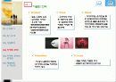 레인콤마케팅전략 14페이지