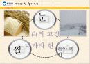 일본지역연구 니가타현 6페이지