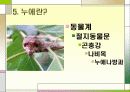 누에 요점정리 7페이지