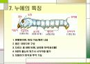 누에 요점정리 9페이지