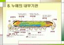 누에 요점정리 10페이지