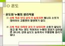 누에 요점정리 17페이지