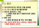 누에 요점정리 21페이지