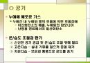 누에 요점정리 22페이지