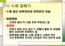 누에 요점정리 24페이지