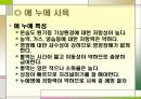 누에 요점정리 31페이지