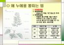 누에 요점정리 36페이지