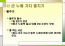 누에 요점정리 40페이지