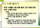 누에 요점정리 43페이지