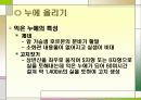누에 요점정리 44페이지