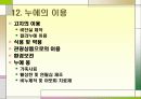 누에 요점정리 48페이지