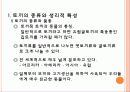식용토끼 요점정리 3페이지