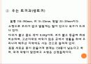 식용토끼 요점정리 5페이지