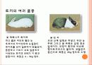 식용토끼 요점정리 6페이지