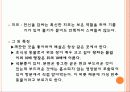 식용토끼 요점정리 10페이지