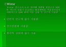 실험동물 요점정리 14페이지
