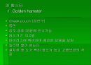 실험동물 요점정리 16페이지