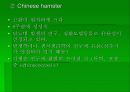 실험동물 요점정리 17페이지