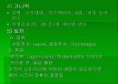 실험동물 요점정리 18페이지